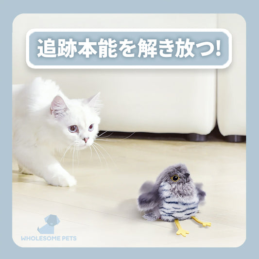 WPJP トリフワ