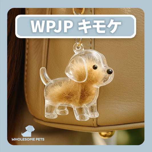 WPJP キモケ