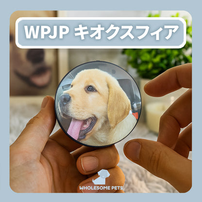 WPJP キオクスフィア