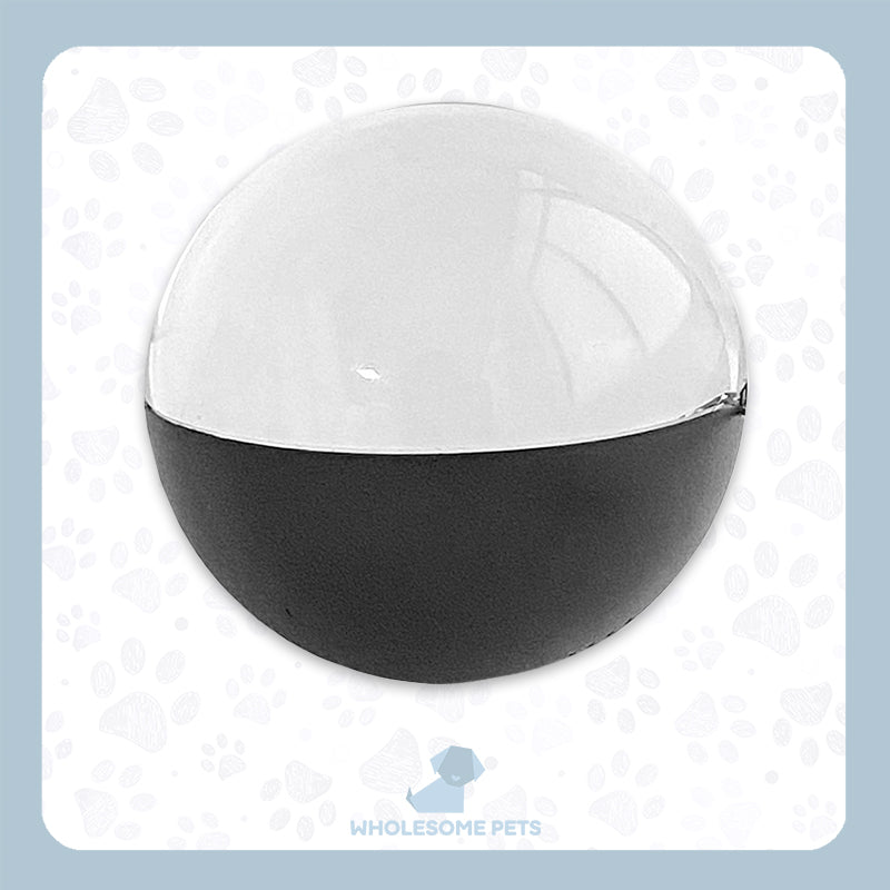 WPJP キオクスフィア