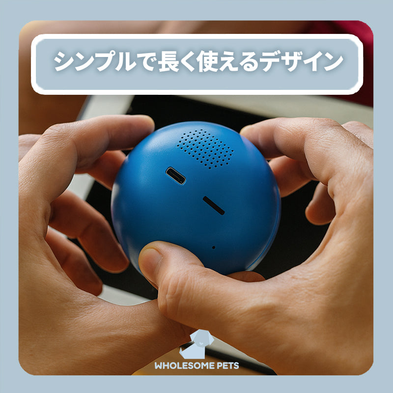 WPJP キオクスフィア