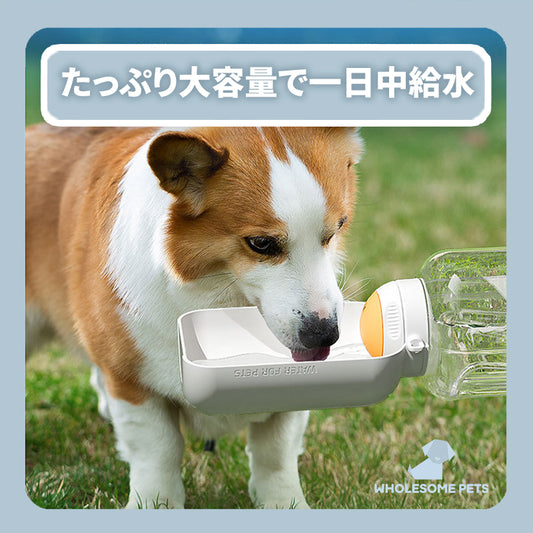 WPJP オソトボトル