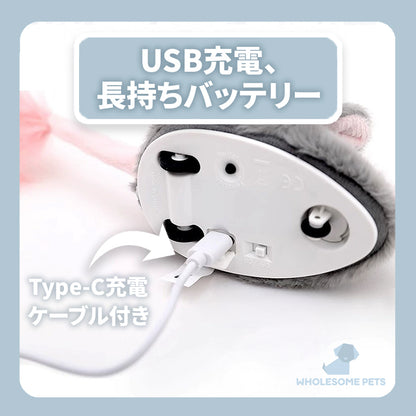WPJP チュウラン