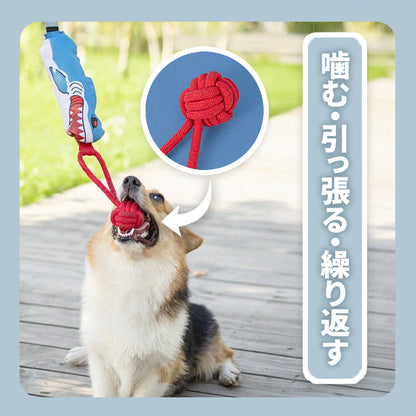 WPJP サメタッグ