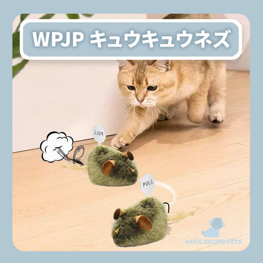 WPJP キュウキュウネズ