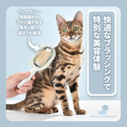 WPJP ミズブラシ