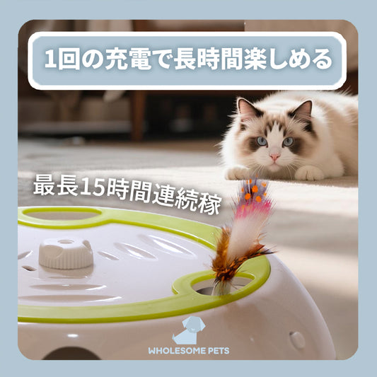 WPJP ハネモグ