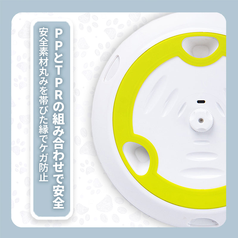WPJP ハネモグ