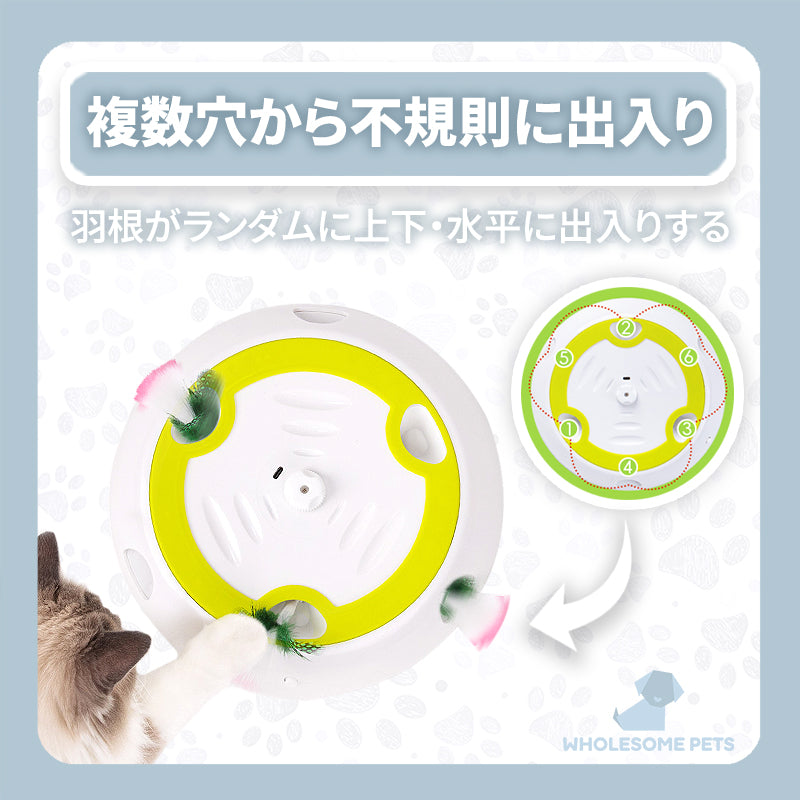 WPJP ハネモグ