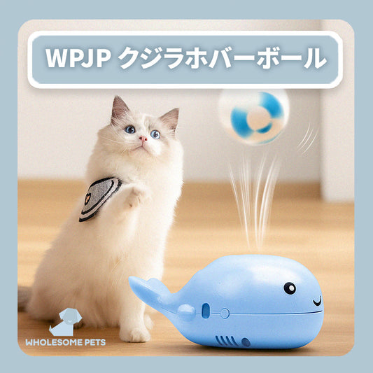 WPJP クジラホバーボール