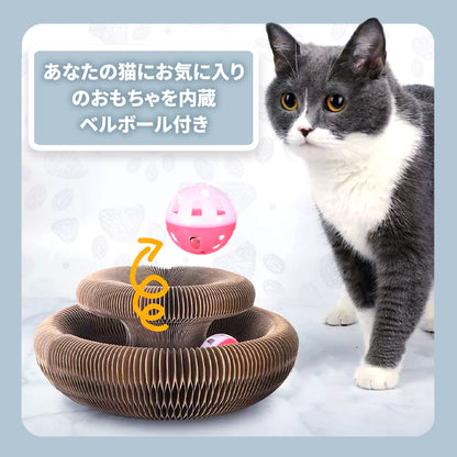 WPJP アコポッド