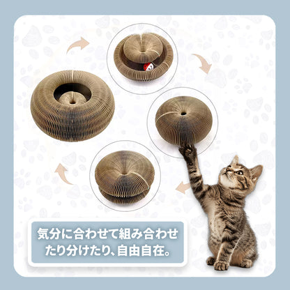 WPJP アコポッド