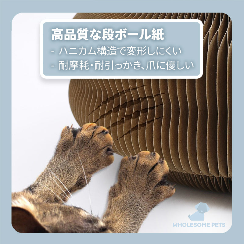 WPJP アコポッド