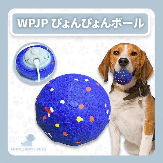 WPJP ぴょんぴょんボール