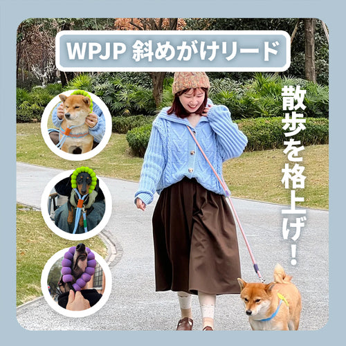 WPJP ハンズフリークラウドリード