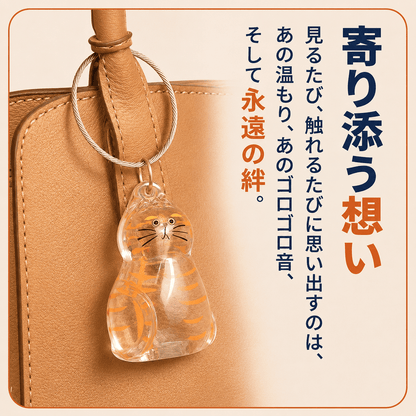 WPJP モフカプ