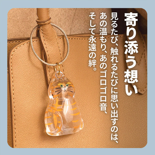 WPJP モフカプ