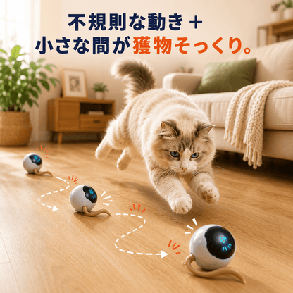 WPJP コソコロ