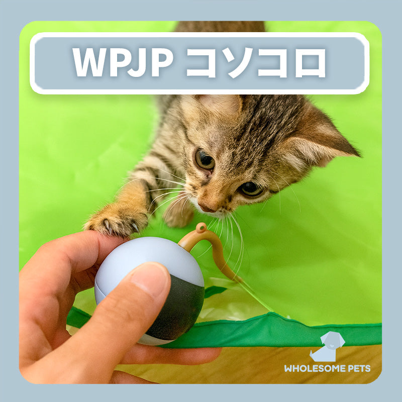 猫 – Wholesome Pets Japan