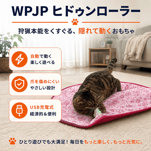 WPJP コソコロ