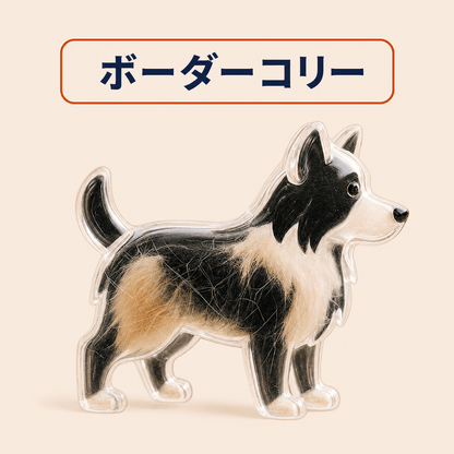WPJP キモケ