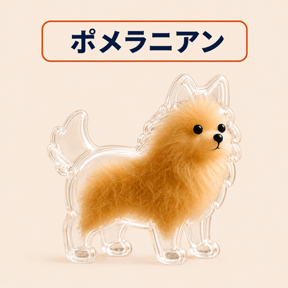 WPJP キモケ