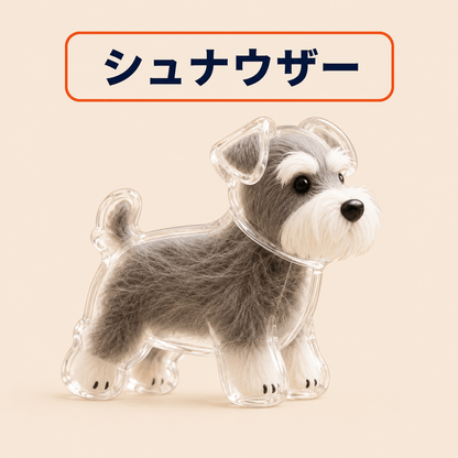 WPJP キモケ