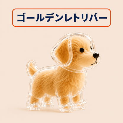 WPJP キモケ