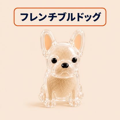 WPJP キモケ