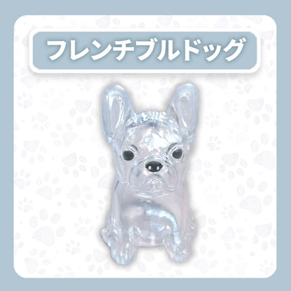 WPJP キモケ