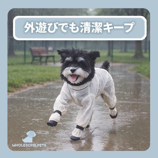 WPJP ポウスーツ