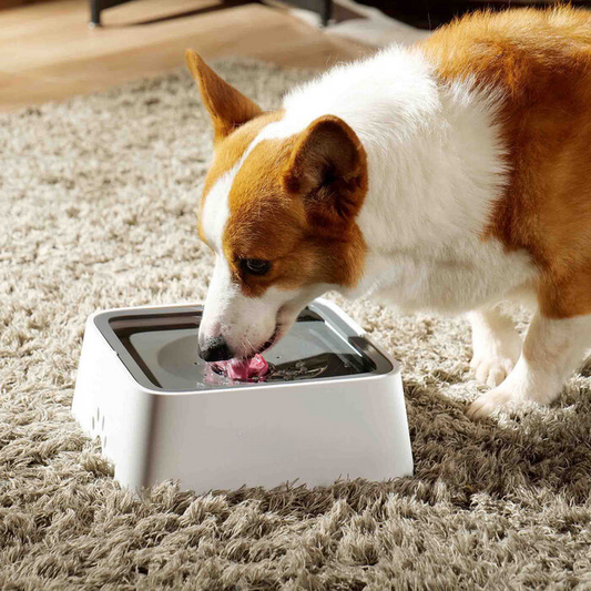 Wholesomepets™ 水跳ね防止 蓋つき給水器