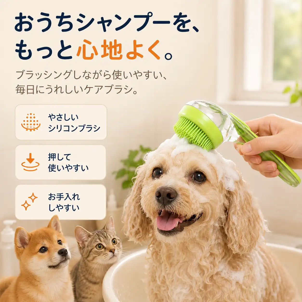 WPJP アワモミ