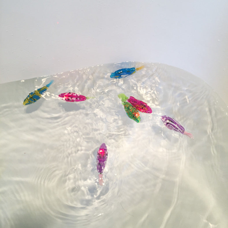 robotic-fish-cat-toy pm product_10.jpg